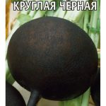 Редька Зимняя черная