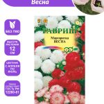 Маргаритка